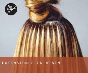 Extensiones en Aisén