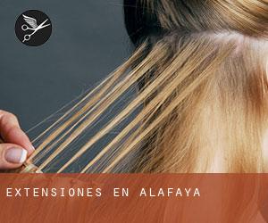 Extensiones en Alafaya