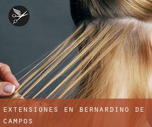 Extensiones en Bernardino de Campos