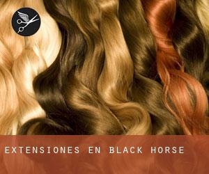Extensiones en Black Horse