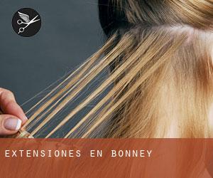 Extensiones en Bonney