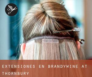 Extensiones en Brandywine at Thornbury