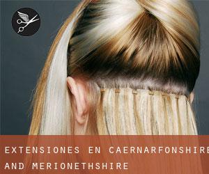 Extensiones en Caernarfonshire and Merionethshire