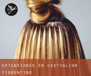 Extensiones en Castiglion Fiorentino