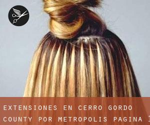 Extensiones en Cerro Gordo County por metropolis - página 1