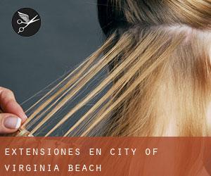 Extensiones en City of Virginia Beach