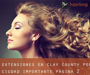 Extensiones en Clay County por ciudad importante - página 2