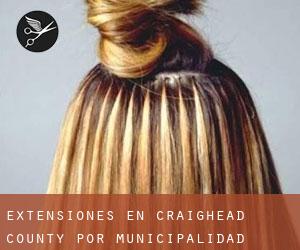 Extensiones en Craighead County por municipalidad - página 1