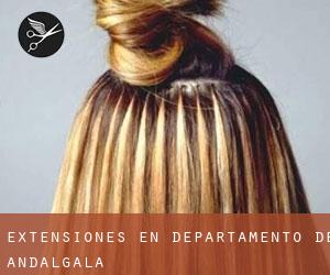 Extensiones en Departamento de Andalgalá