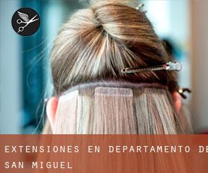 Extensiones en Departamento de San Miguel