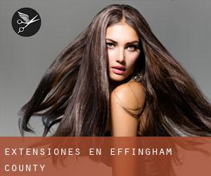 Extensiones en Effingham County