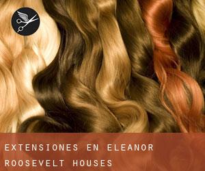 Extensiones en Eleanor Roosevelt Houses