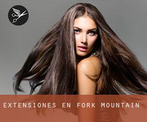 Extensiones en Fork Mountain