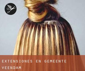 Extensiones en Gemeente Veendam Extensiones en Gemeente Veendam