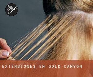 Extensiones en Gold Canyon