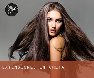 Extensiones en Greta