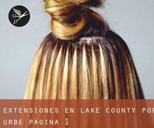 Extensiones en Lake County por urbe - página 1