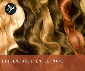 Extensiones en Le Mans