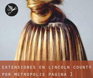 Extensiones en Lincoln County por metropolis - página 1
