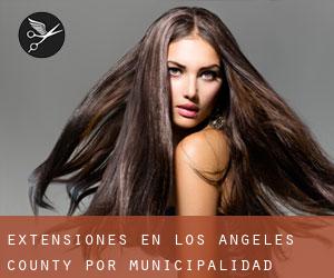 Extensiones en Los Angeles County por municipalidad - página 4