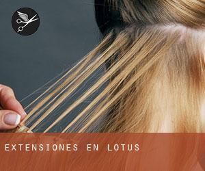 Extensiones en Lotus