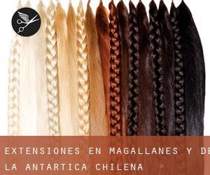 Extensiones en Magallanes y de la Antártica Chilena