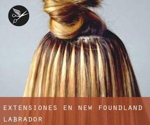 Extensiones en New Foundland - Labrador Extensiones en New Foundland - Labrador