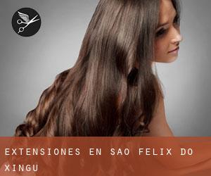 Extensiones en São Félix do Xingu Extensiones en São Félix do Xingu