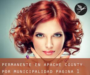 Permanente en Apache County por municipalidad - página 1