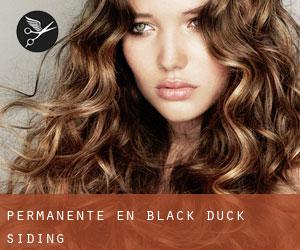 Permanente en Black Duck Siding