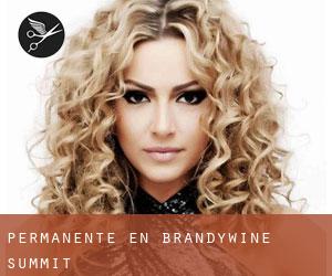 Permanente en Brandywine Summit