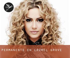 Permanente en Laurel Grove