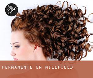 Permanente en Millfield