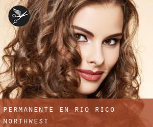 Permanente en Rio Rico Northwest