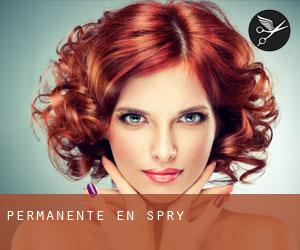 Permanente en Spry