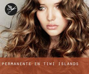 Permanente en Tiwi Islands