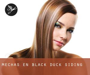 Mechas en Black Duck Siding