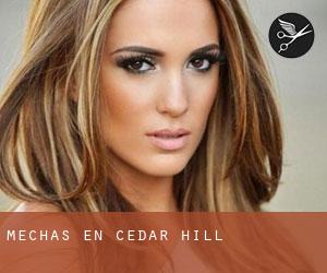 Mechas en Cedar Hill