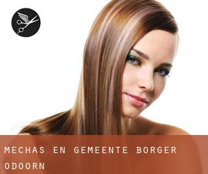 Mechas en Gemeente Borger-Odoorn Mechas en Gemeente Borger-Odoorn