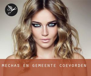 Mechas en Gemeente Coevorden Mechas en Gemeente Coevorden