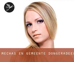 Mechas en Gemeente Dongeradeel