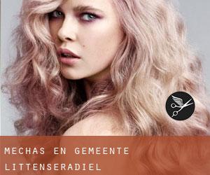 Mechas en Gemeente Littenseradiel Mechas en Gemeente Littenseradiel