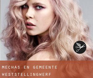 Mechas en Gemeente Weststellingwerf Mechas en Gemeente Weststellingwerf