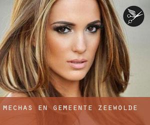 Mechas en Gemeente Zeewolde Mechas en Gemeente Zeewolde
