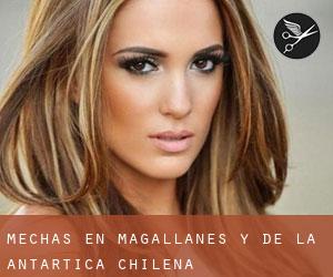 Mechas en Magallanes y de la Antártica Chilena Mechas en Magallanes y de la Antártica Chilena