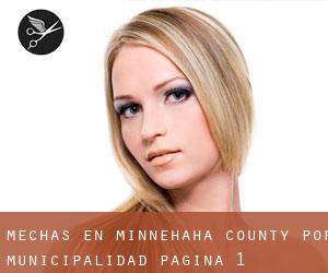 Mechas en Minnehaha County por municipalidad - página 1