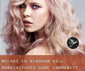 Mechas en Windham Hill Manufactured Home Community