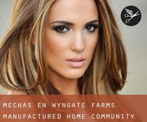 Mechas en Wyngate Farms Manufactured Home Community