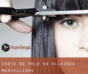 Corte de pelo en Allaines-Mervilliers