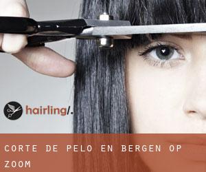 Corte de pelo en Bergen op Zoom